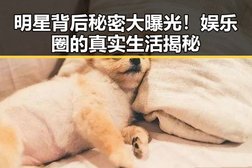 明星背后秘密大曝光！娱乐圈的真实生活揭秘