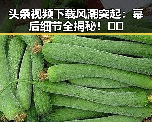 头条视频下载风潮突起：幕后细节全揭秘！🎥🔥