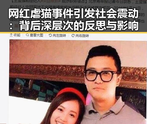 网红虐猫事件引发社会震动：背后深层次的反思与影响