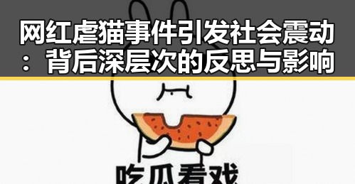 网红虐猫事件引发社会震动：背后深层次的反思与影响